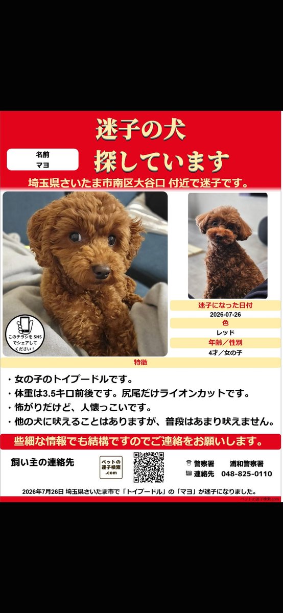 mayo20260726's tweet photo. さいたま市迷子犬探しています

2026/7/26
南区大谷口細野公園で2度目撃
緑区原山ウエルシアで2度目撃

保護されている可能性も視野に捜索しています
マヨちゃんに届きますように

#迷子犬#トイプードル#さいたま市#保護犬#大谷口#細野公園#拡散希望 https://t.co/Kqd0Ncnowq