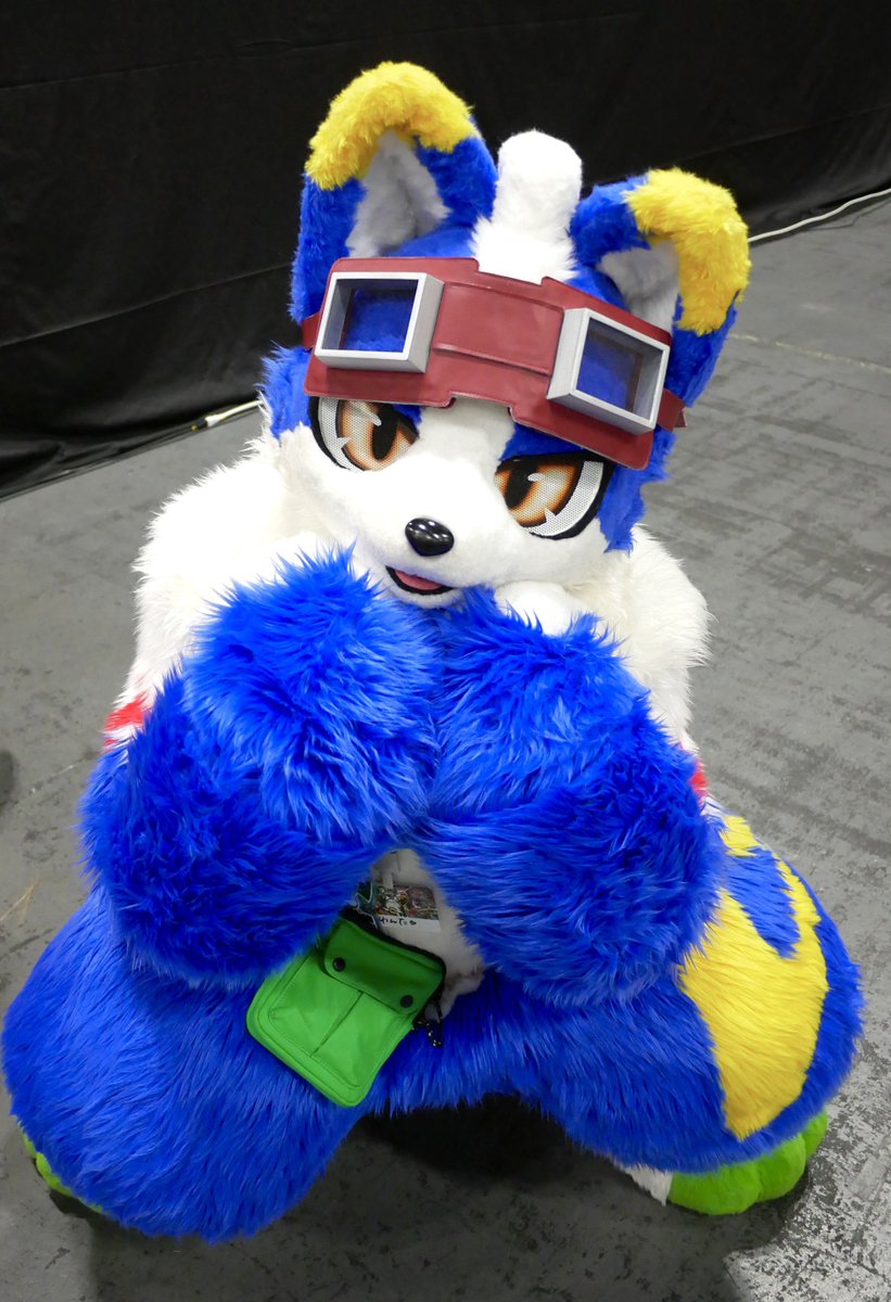5groo5's tweet photo. ようやく初めましてできたアキラくん〜
小柄でもっちもちで他の兄弟よりも短い尻尾かわいいね
お写真はどのキャラもだいたい2パターンいただくんですけど、アキラくんは唯一しゃがんで見上げポーズしてたのがあざと可愛くて良かった

#OFFF2026 https://t.co/Vs3ER57OPu