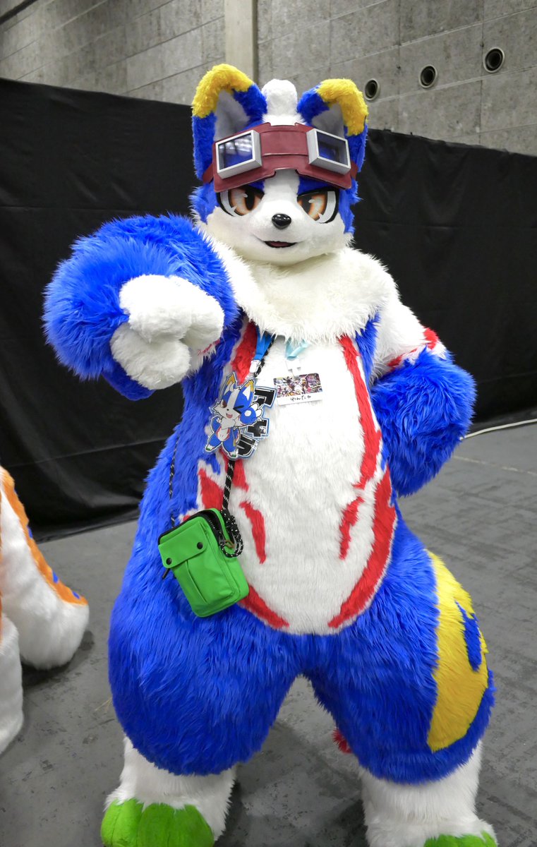 5groo5's tweet photo. ようやく初めましてできたアキラくん〜
小柄でもっちもちで他の兄弟よりも短い尻尾かわいいね
お写真はどのキャラもだいたい2パターンいただくんですけど、アキラくんは唯一しゃがんで見上げポーズしてたのがあざと可愛くて良かった

#OFFF2026 https://t.co/Vs3ER57OPu
