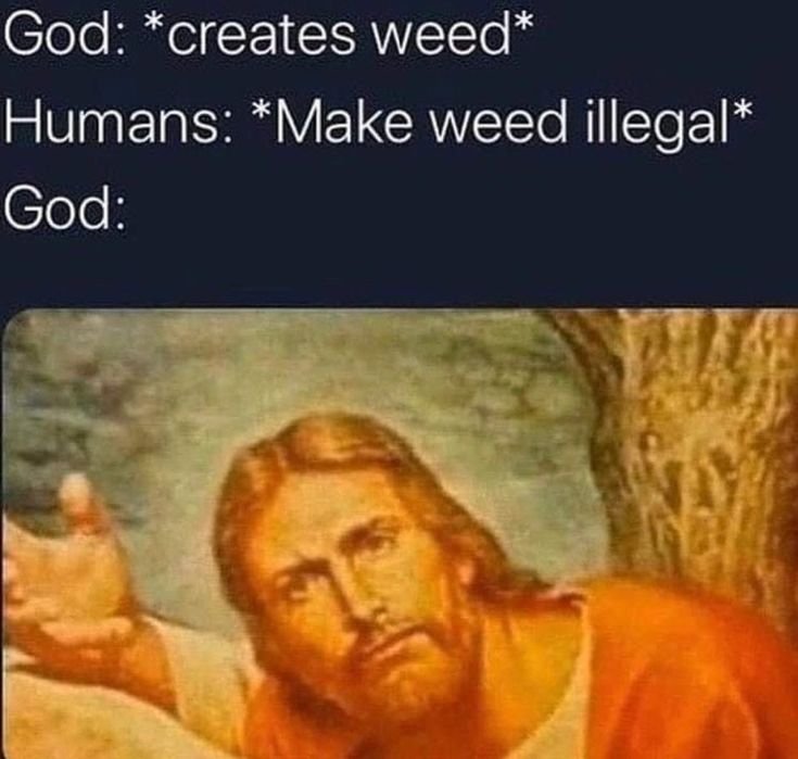 Rizzlie264958's tweet photo. Fukin humans https://t.co/MRgAWZmjRQ