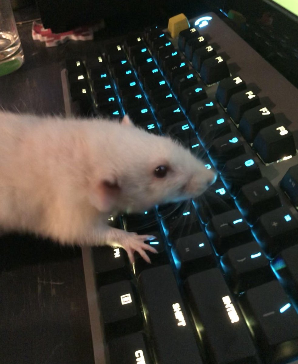 DJ_Sp3rmCount's tweet photo. @jbillinson The RATPAC lobby is strong
(Rodents Advocating for Trash Public Affairs Committee) https://t.co/rPEz4Bc6qn