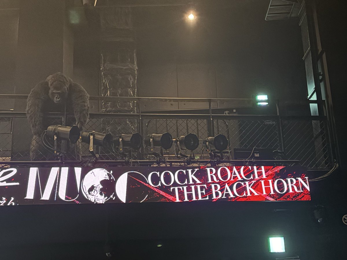 BeckTora's tweet photo. 青春3バンド。贅沢過ぎ。 https://t.co/Grsged0Vi5