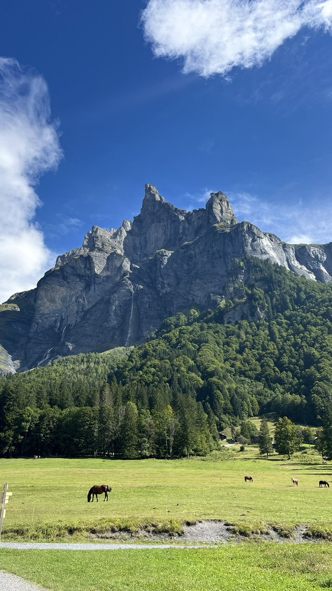 wyzxae's tweet photo. Je pense que ce sont celles ci #montagne https://t.co/QPzO7sIBgb