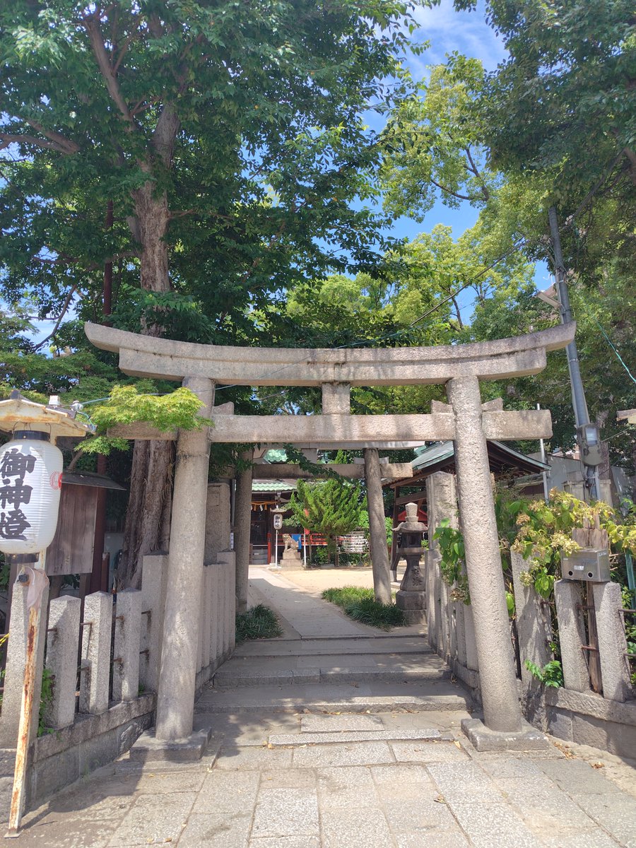 qcl3s's tweet photo. 甲子園八幡神社行ってきました
地域に愛されている神社です。
神木に囲まれているので真夏なのに、ちょっと涼しく感じる場所でした。
狛犬さんもどこか愛嬌があります。前行った甲子園素戔嗚神社ともに動画にしてみたのでよかった見てみてください。#神社巡り#甲子園https://t.co/UWp9FZptcg https://t.co/Y0hhjEbsfW