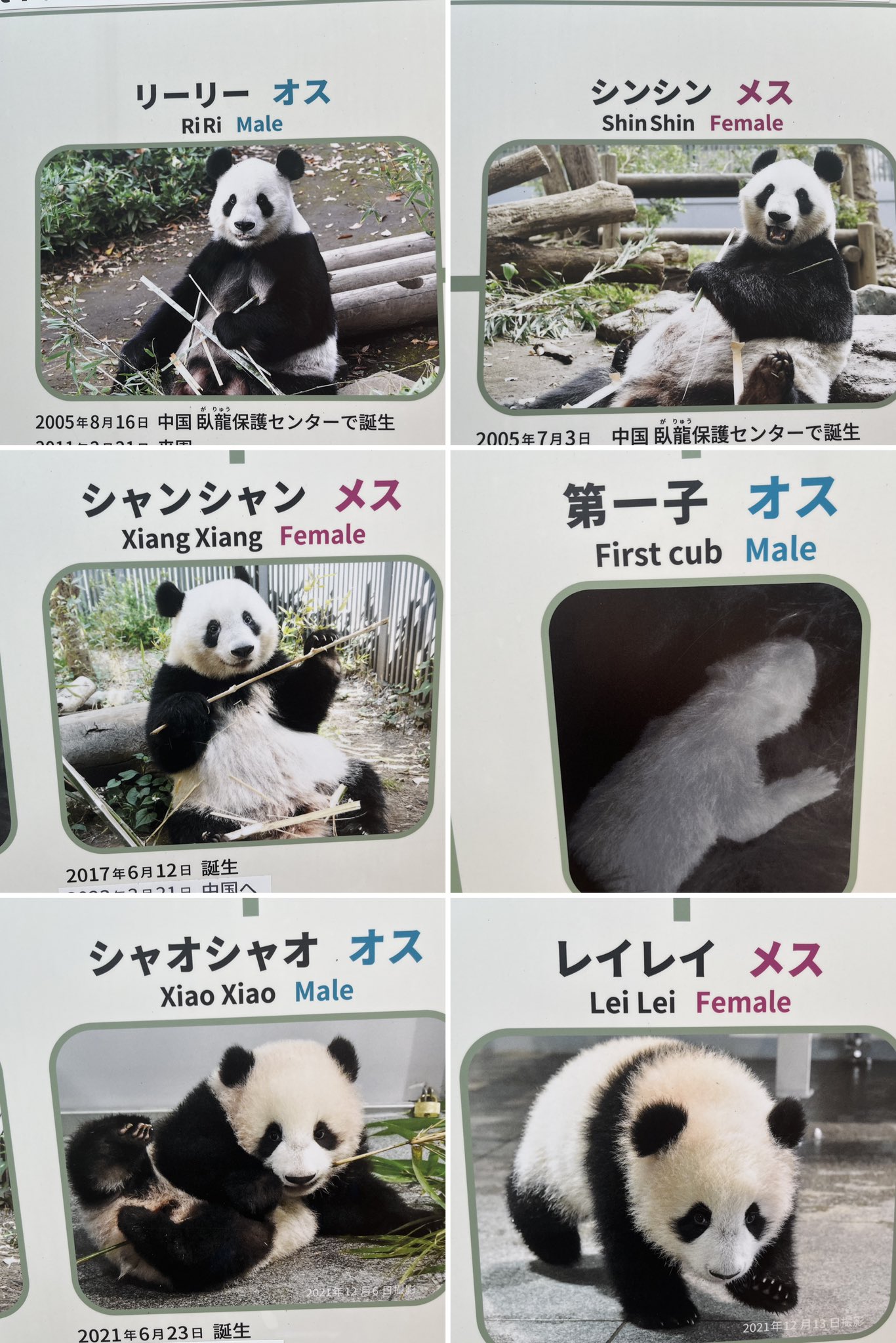るさ on X: 