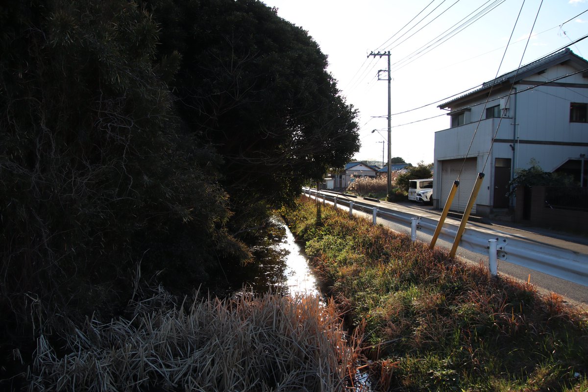 shngot1130's tweet photo. 千葉県富津市の飯野陣屋
2026年1月の訪城
飯野神社が鎮座しているところが陣屋跡で周囲を水堀が巡っています。保科氏が飯野藩として江戸初期から明治維新までこの地を治め続けました。 https://t.co/yZGfGSTBYn