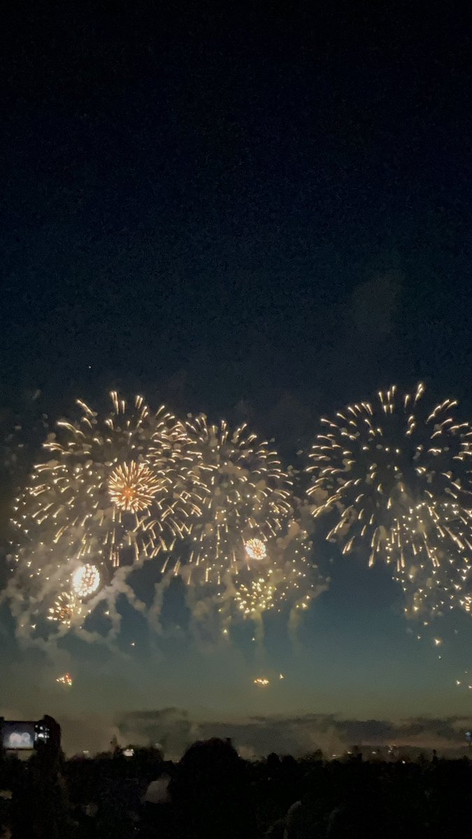 1019_itch's tweet photo. 去年の長岡花火だけど https://t.co/h18lzPvYZn
