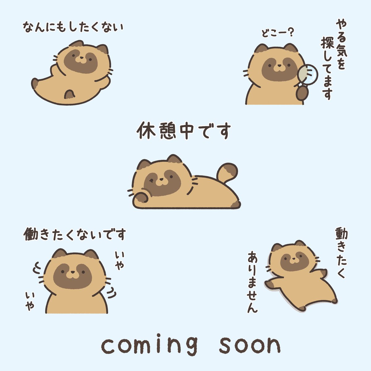ゆきまる日和 (@yukimaru_biyori) / Posts / X