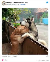 dogsrri's tweet photo. https://t.co/sh0P3pYnSY