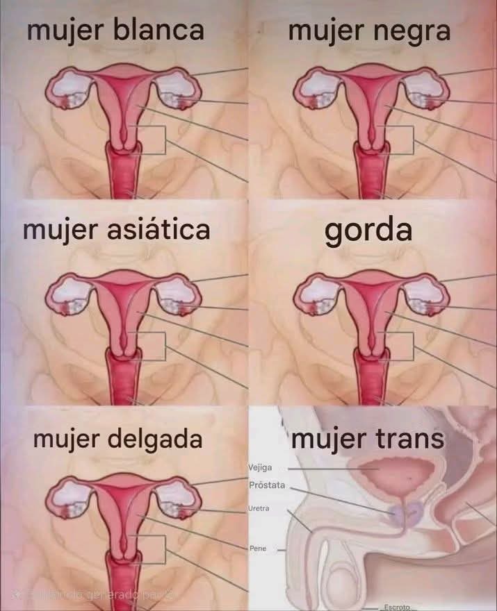 fgrmacolla's tweet photo. @RocioInfantesb 👇👇👇👇👇😅😅😅 https://t.co/jTsKHZON2g