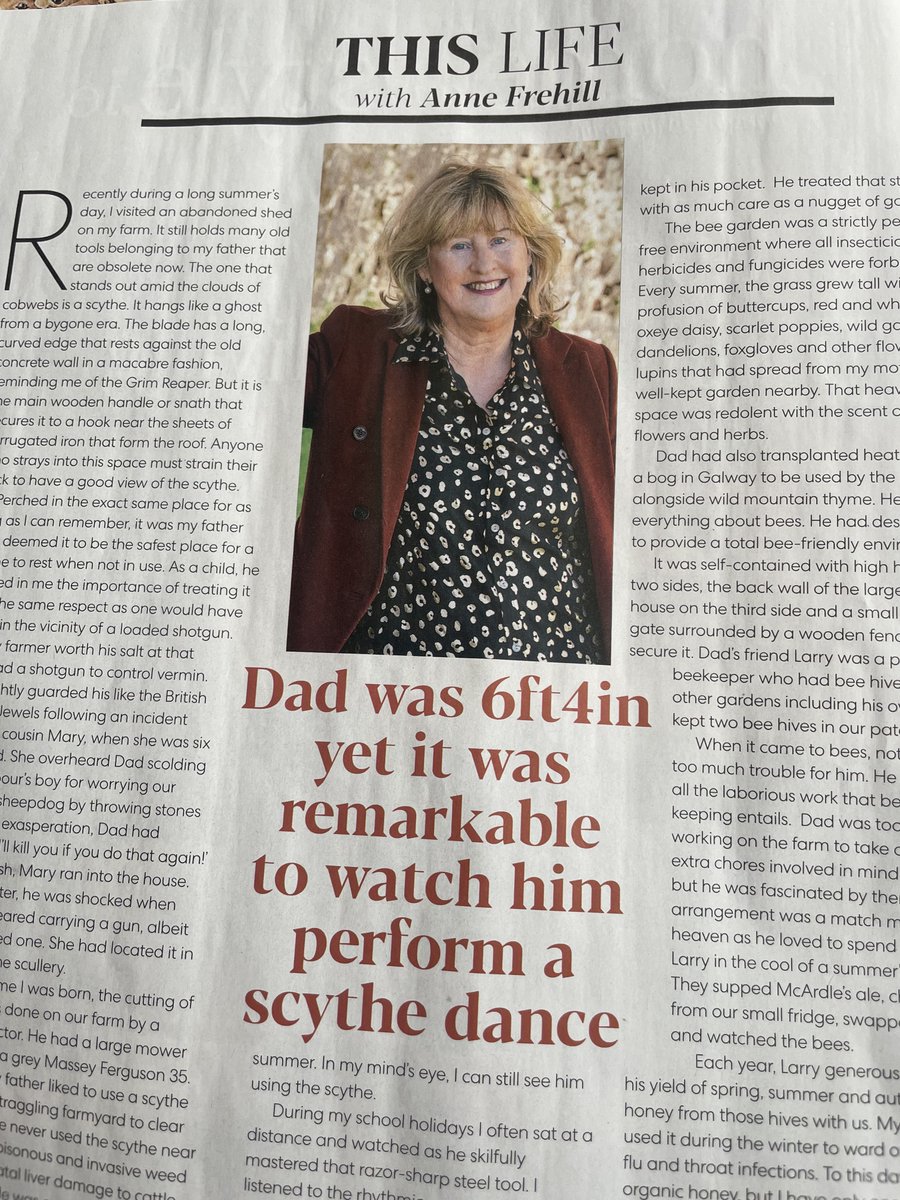 PatriciaDublin's tweet photo. Summer reading - Anne Freehill's latest novel #TheShadowsofBetrayal by @PoolbegBooks featuring @irishdailymail #Irishwriting #Amreading https://t.co/p0vFHuLDUy
