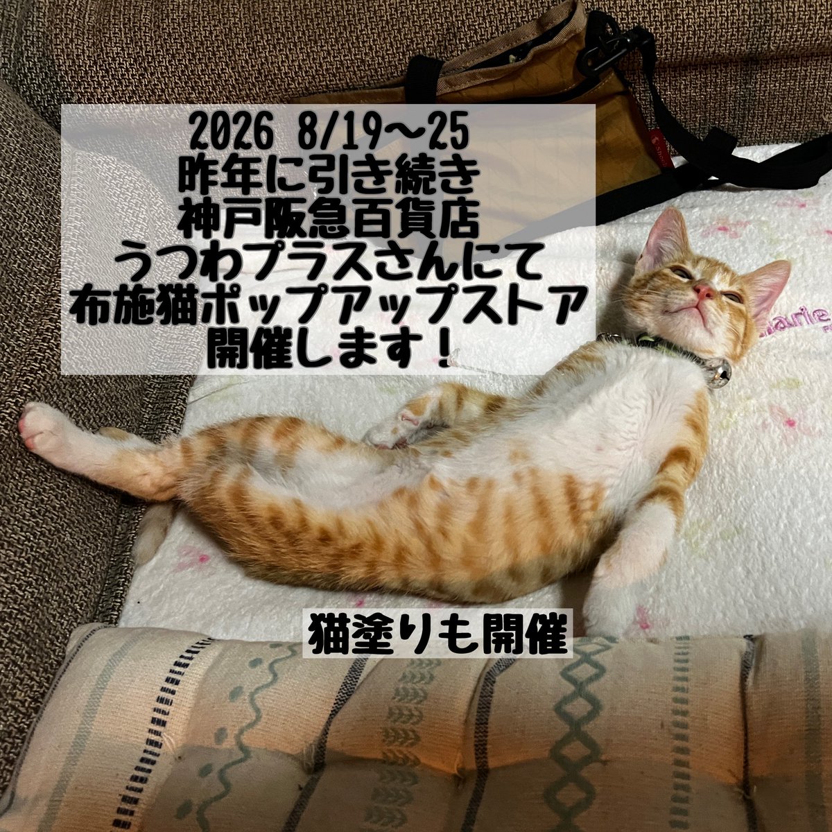 KAORIN (@Queserasera616) / Posts / X