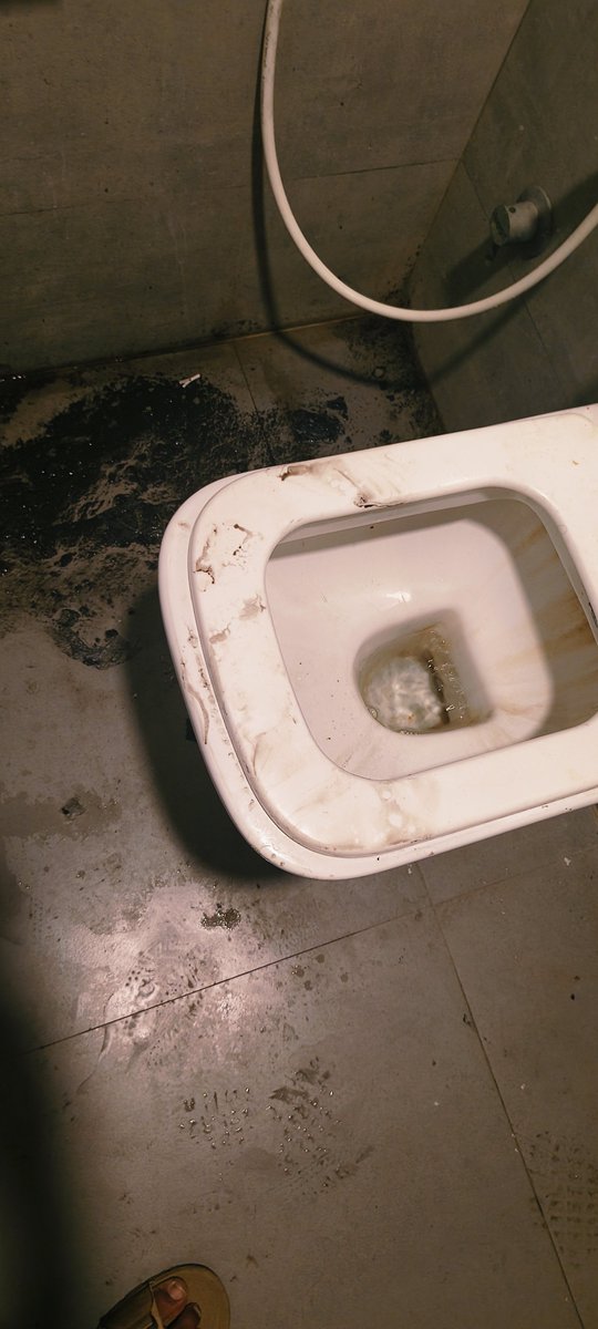 MALLI89043's tweet photo. @dominos_india  @dominos Today, we visited your store to have pizza. During our visit, we also checked the restroom facilities. We were surprised by the condition of the bathroom.

Is this the restroom that customers are expected to use? We believe customers deserve clean, https://t.co/IM1vefceW6