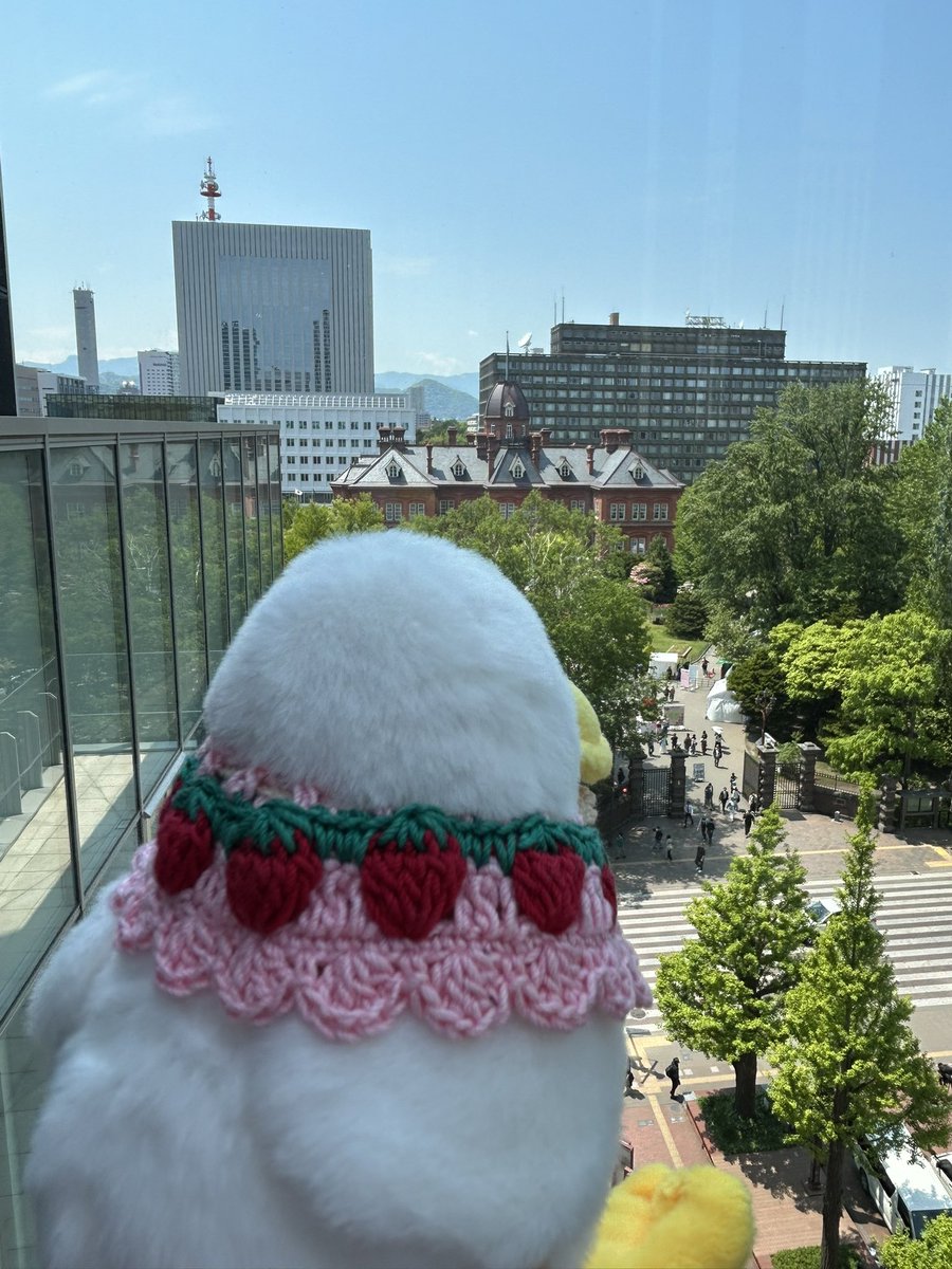 marumarunosekai's tweet photo. みんなの安全を見守ります🦺⛑️
#もちっとダック 
#ブルーブルーエ https://t.co/KQ7UpodgrW