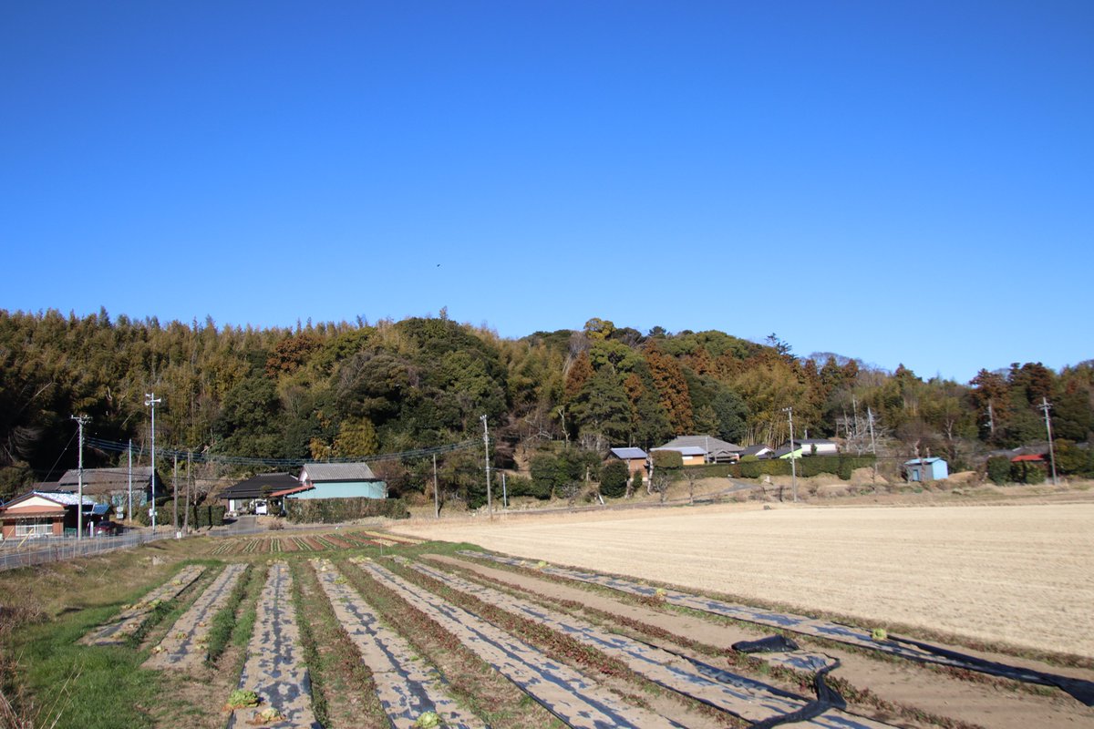 shngot1130's tweet photo. 千葉県木更津市の中尾城
2026年1月の訪城
���子城の西2Kmほどのところに、こちらも南北に連なった台地に曲輪を連ねた作りになっています。真里谷武田氏の城ですが、本拠の真里谷城の出城として要害城と天神台城、その前線に笹子城と中尾城というところでしょうか。 https://t.co/AHAePkrd99