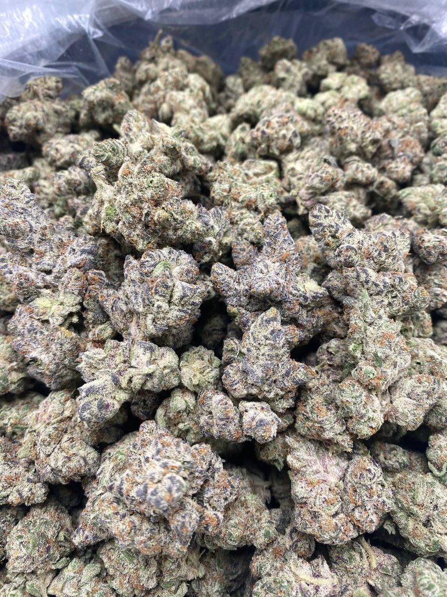 snoopweedplug's tweet photo. Domingoou família, estamos na ativa!

⚠️Novidade: Pronta entrega Sp e Rj

Cardápio aqui: https://t.co/RDS623Ipa8

📍Mercadorias pronta entrega nos estados de São Paulo e Rio de Janeiro até 00:30!
📍Entregas fora dos estados acima envio feito até 22:30!

✅️Qualidade única 

#corre #sp #maconha #delivery #rj #erva #coca