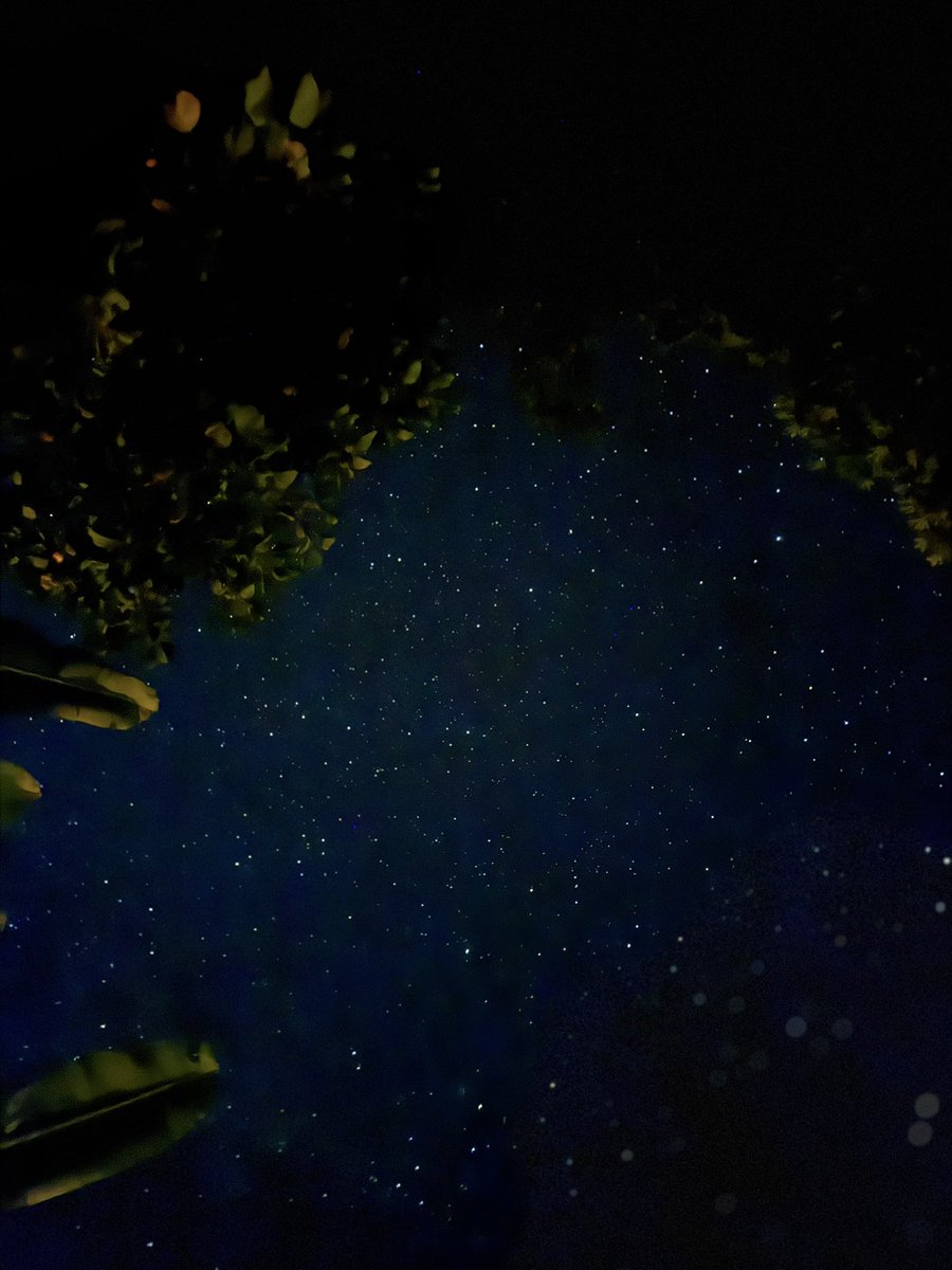 only_waka's tweet photo. 連日、よく流れる💫 https://t.co/Qakfp8CuGb