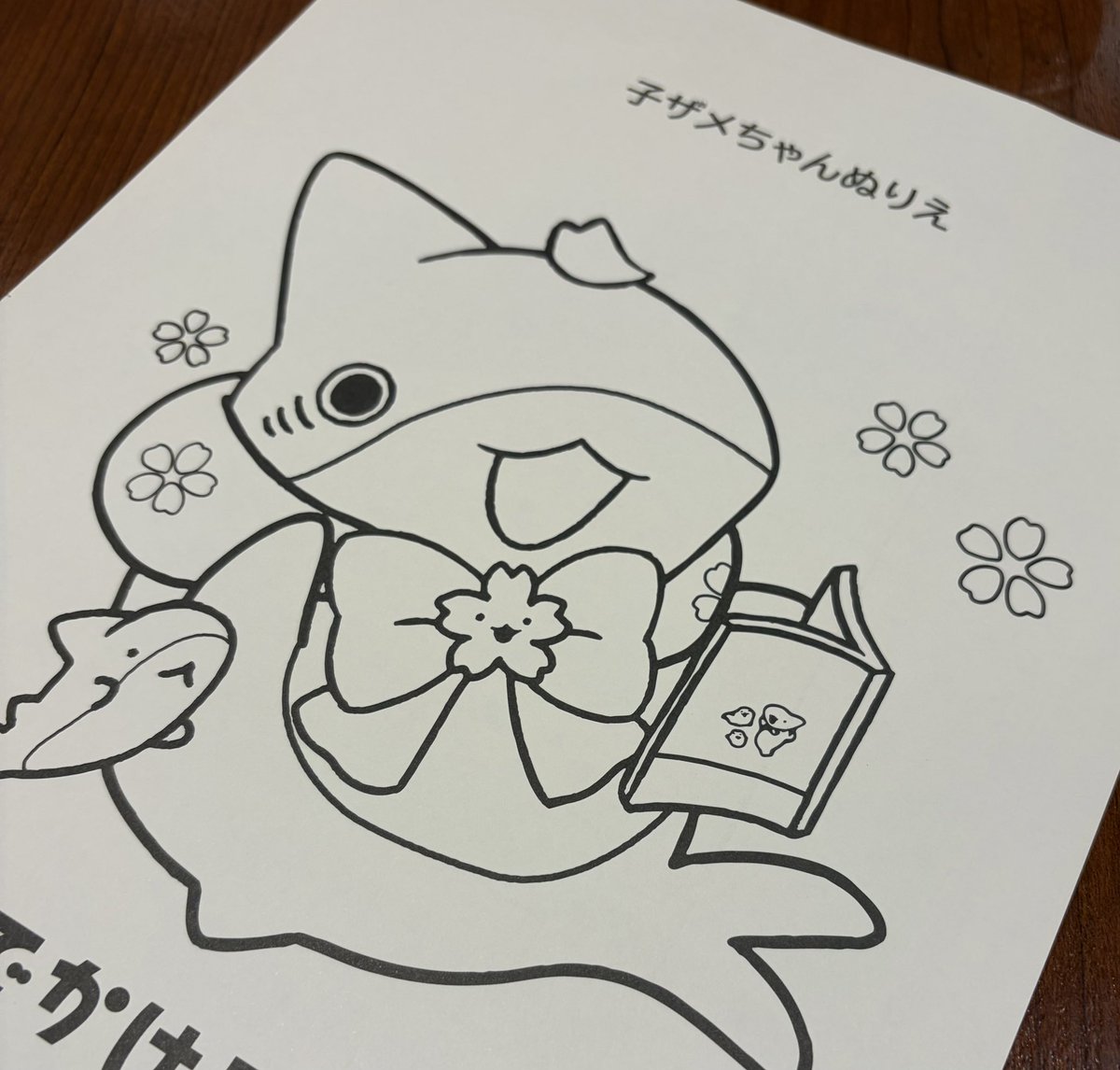 子ザメ展でチラシ貰えました！ ぬりえつき、すばらSEA🌸