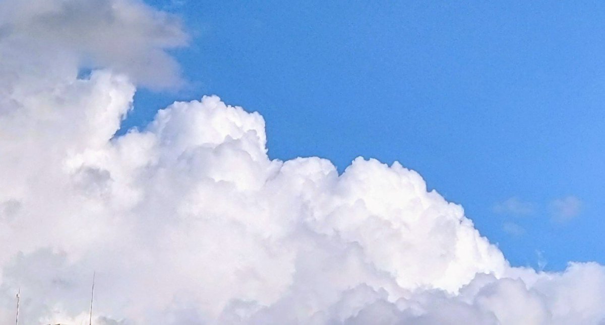 pingHiromi's tweet photo. この暑さ🥵
また今週末は台風らしいし
お願いだから台風九州に行かないで！
地震で大変なのにこれ以上苦しめないで🙏
何もできないけど気持ちだけ募金しました
被災された方、復旧作業の方もどうかご無事で😌 https://t.co/u67X864Bsn