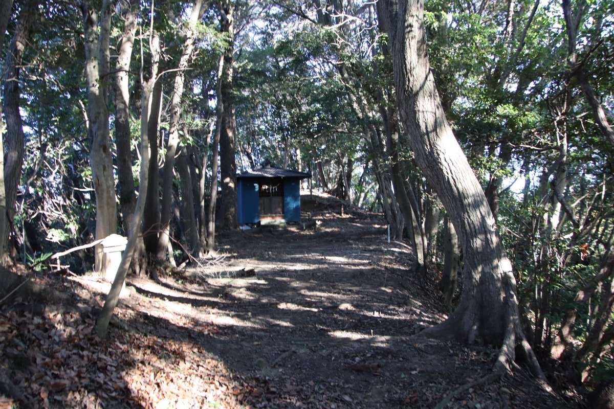 shngot1130's tweet photo. 千葉県木更津市の中尾城
2026年1月の訪城
���子城の西2Kmほどのところに、こちらも南北に連なった台地に曲輪を連ねた作りになっています。真里谷武田氏の城ですが、本拠の真里谷城の出城として要害城と天神台城、その前線に笹子城と中尾城というところでしょうか。 https://t.co/AHAePkrd99