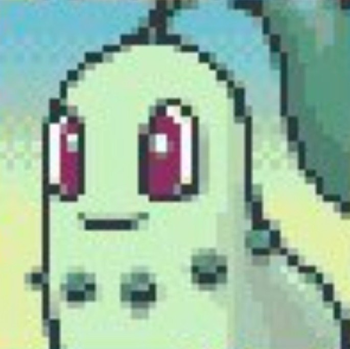 khrixx99's tweet photo. Mi pokemon y yo en el pokeday 🍃 igual llego tarde, pero aqui esta 🙊 https://t.co/EwxtlJfYEJ