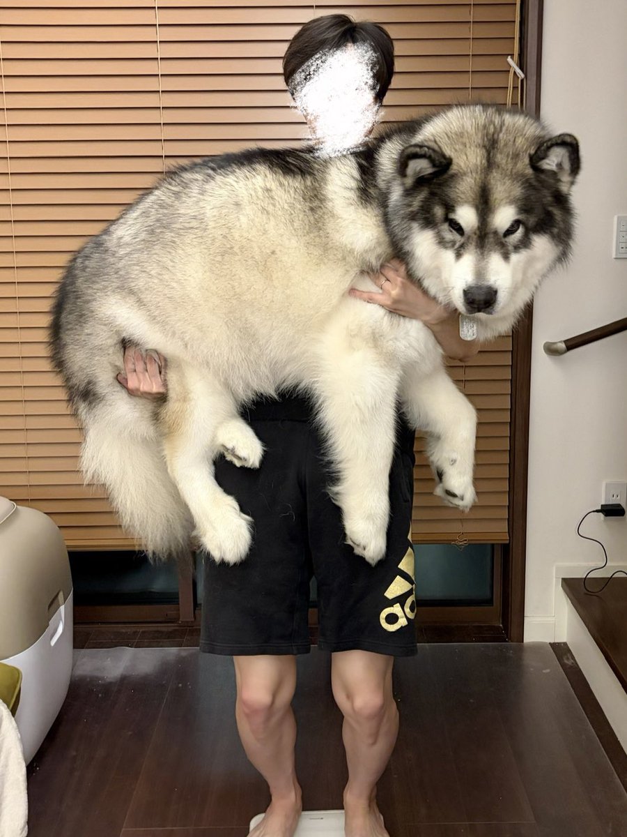 ara_aru6's tweet photo. ちょっと太っちゃった子 https://t.co/6M5CuOCqut