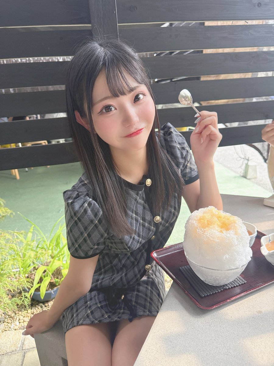 白瀬はる - Tohkei tweet media