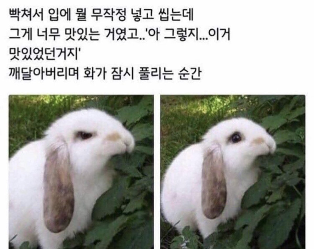 Young jae 12 tweet media