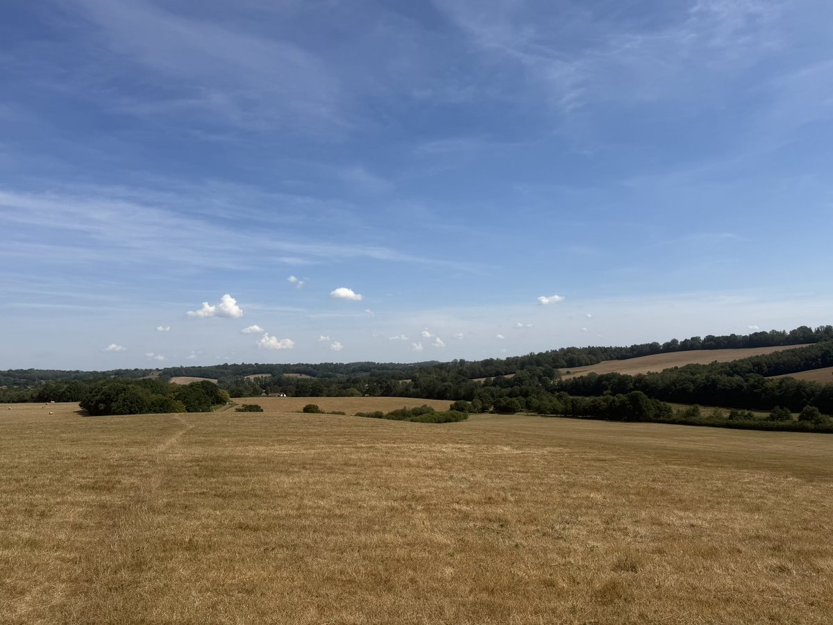 charbhardy's tweet photo. 6 miles across open fields in 29 C  
Pleased to be home now. https://t.co/FAbbO1K75u