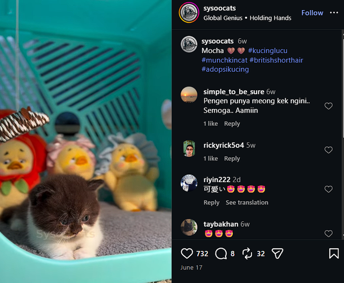 cyberaurix's tweet photo. I seriously do not know how this hasn't sent.
This video of this cat pooping is insanely Viral with already 1.5 Million Likes and 12 Million views in only 2 days. 
The video is of the cat Mocha pooping in a sprinkle litterbox making weird straining sounds. 
People are memeing https://t.co/uBQPXgTMaa
