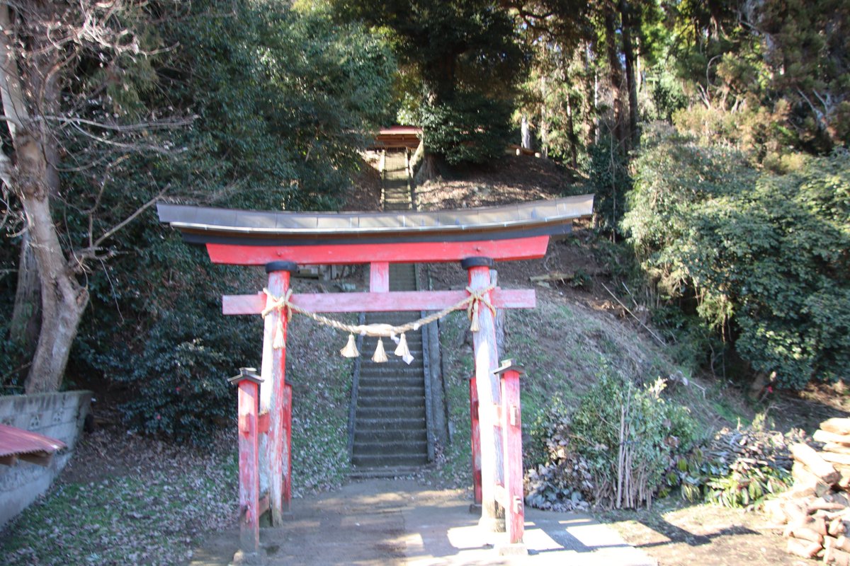 shngot1130's tweet photo. 千葉県木更津市の上根岸館
2026年1月の訪城
上根岸の日高神社の西側の比高30mの台地が館跡です。 https://t.co/h6OrmqTEmN