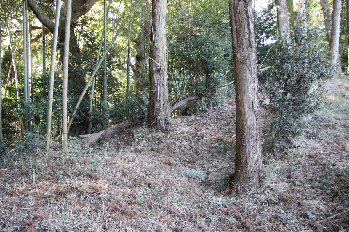 shngot1130's tweet photo. 千葉県木更津市の上根岸館
2026年1月の訪城
上根岸の日高神社の西側の比高30mの台地が館跡です。 https://t.co/h6OrmqTEmN
