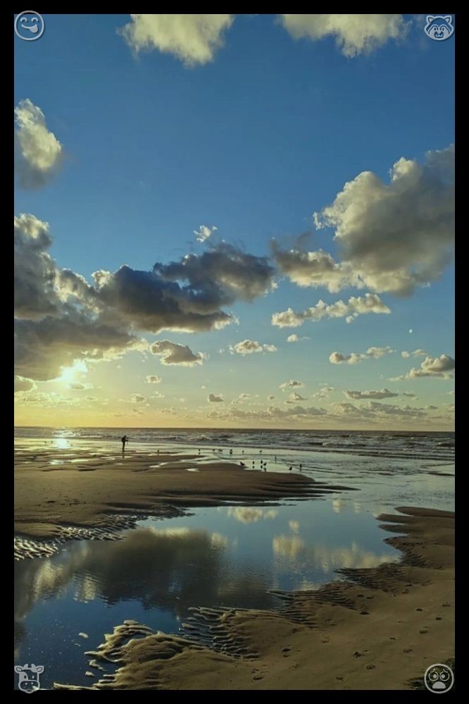 TningL's tweet photo. 🐅Cultivate loyalty to build mutual trust.519949With each dawn, the burdens of yesterday fade away—embrace the fresh beginning it offers, nurture optimism, and achieve steady, meaningful milestones through genuine effort every single day. https://t.co/44nxnRx0gi
