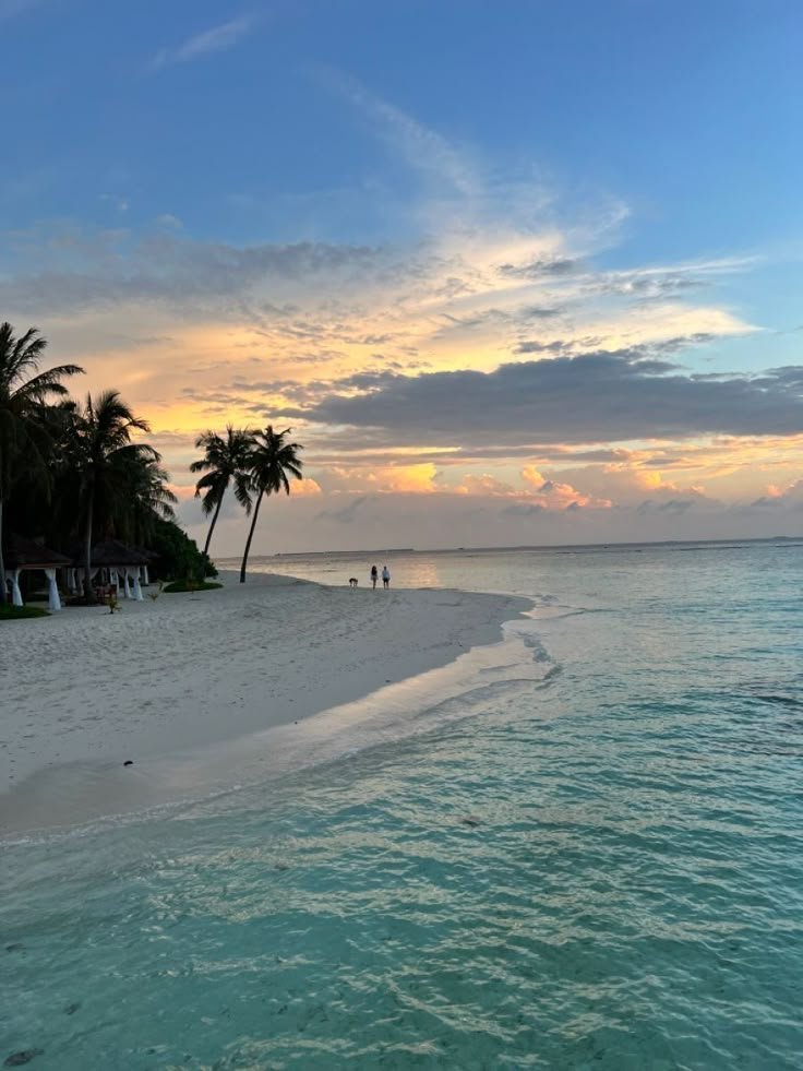 aestheticspost_'s tweet photo. Maldives. https://t.co/JCtI0S0s08