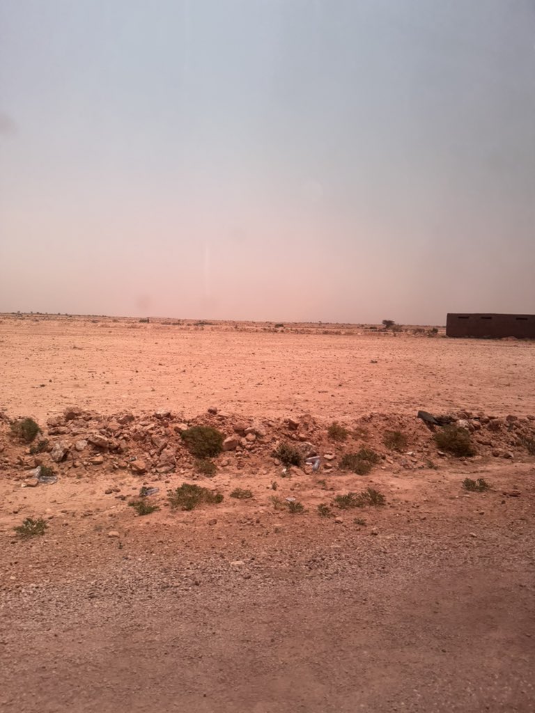 OmarHashi114's tweet photo. Magnificent land, but Lascanood, like most parts of #Somalia, bears the brunt of climate shocks. @MoECC_Somalia should initiate a nationwide tree-planting campaign.

#OneMillionTrees campaign drive. https://t.co/z2UAXXAVLH