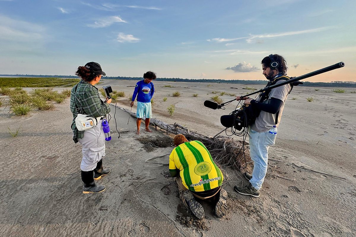 BogotaUNAL's tweet photo. #SíSomos ciencia que escucha a los territorios.
Una experiencia transmedia invita a recorrer la Amazonia desde las voces, los sonidos y las historias de quienes la habitan.

Conoce este proyecto: 👉 https://t.co/gzTo717vVG https://t.co/kFoRF8ivtk