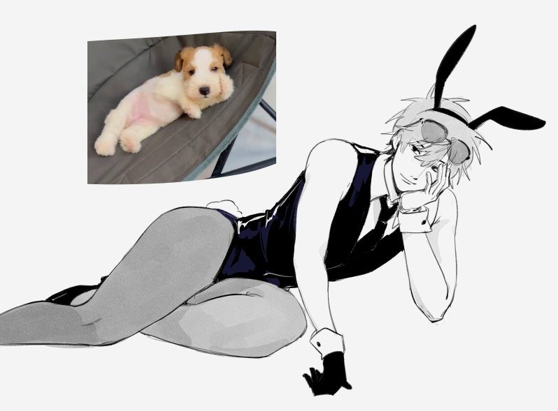 roshuuto's tweet photo. #バニーの日
🐇🐶 https://t.co/4HuAPwcxao