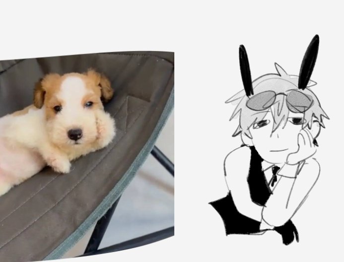 roshuuto's tweet photo. #バニーの日
🐇🐶 https://t.co/4HuAPwcxao