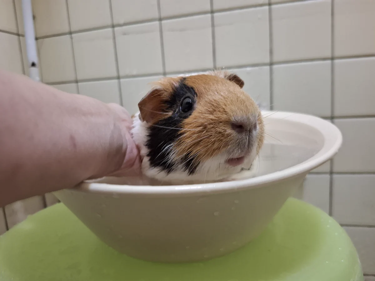 おーーい