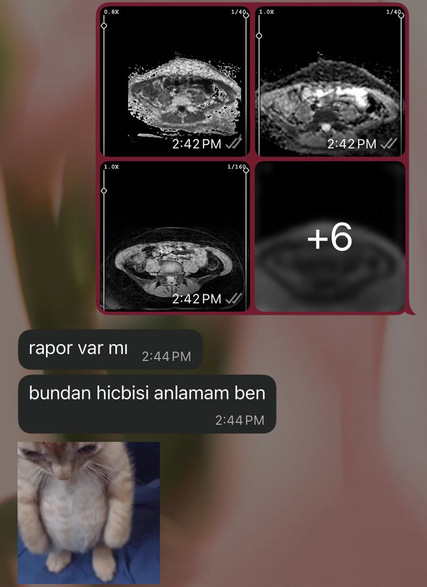 bireysel25's tweet photo. gelecegin doktorlari https://t.co/L6Kl16yMie