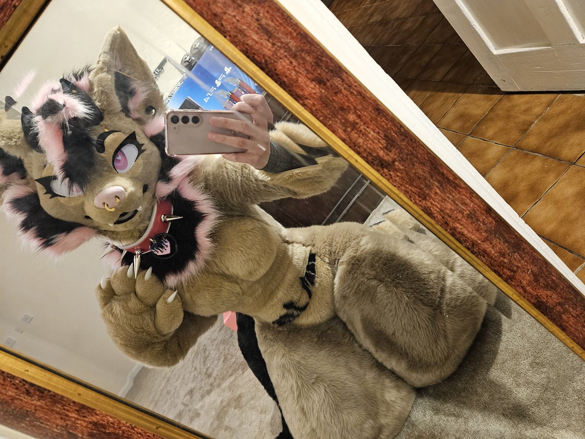 furry_gf's tweet photo. Mirror selfie💖 https://t.co/0dgNjXBg1H