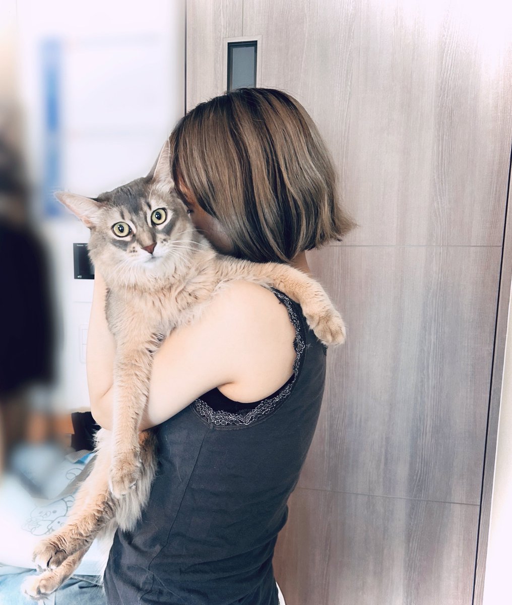rich_oo414's tweet photo. 2ちゃいのでかねこ5.2kg https://t.co/mz9wixpohC