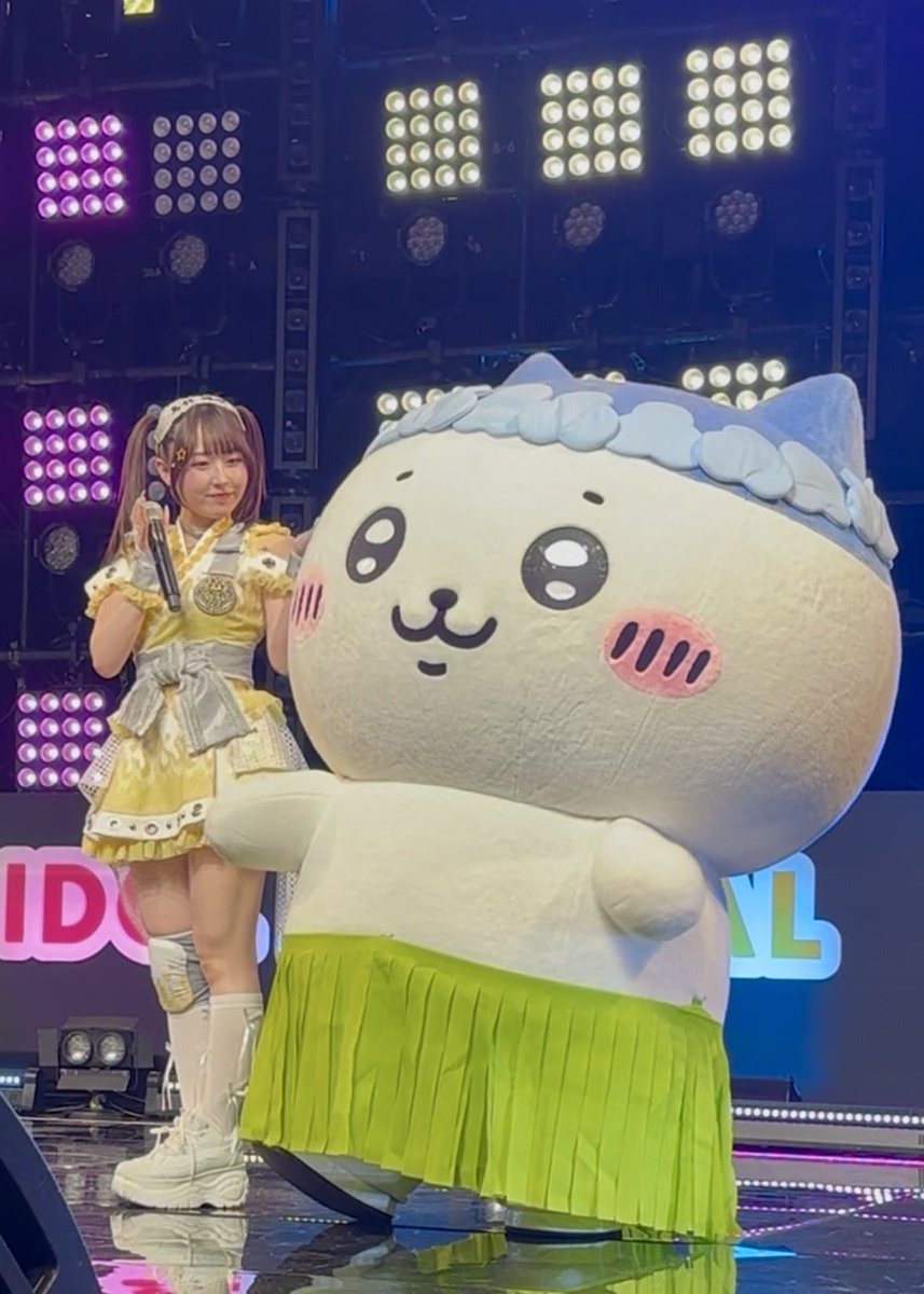 yuch_628's tweet photo. かわいい嬉唄ちゃんが隣にきてハチワレの目が輝いています♡♡
 #うたちゃんといっしょ https://t.co/AQxQJzoALF