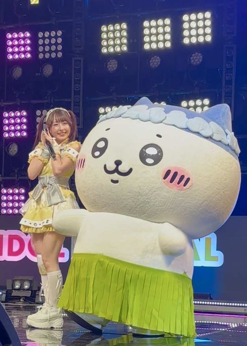 yuch_628's tweet photo. かわいい嬉唄ちゃんが隣にきてハチワレの目が輝いています♡♡
 #うたちゃんといっしょ https://t.co/AQxQJzoALF