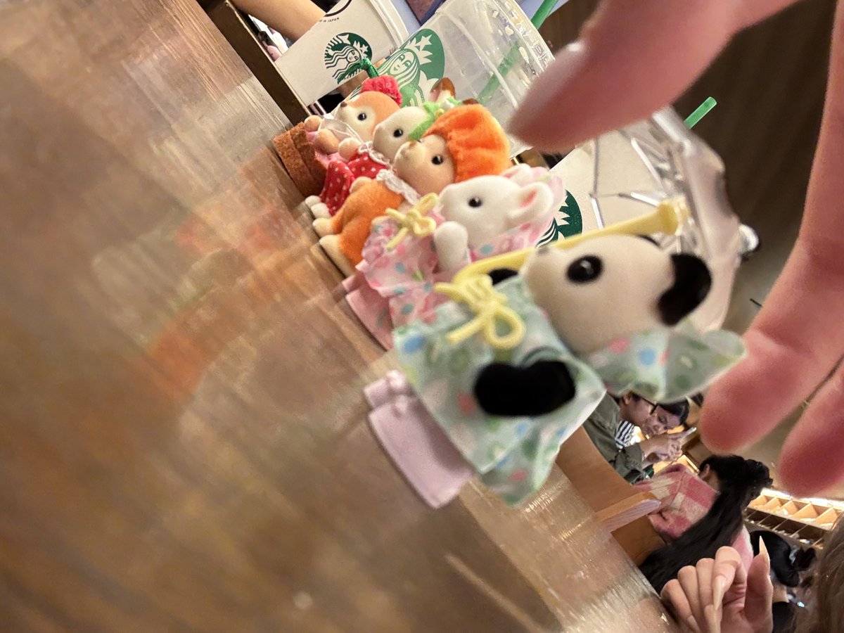 시꾸 tweet media
