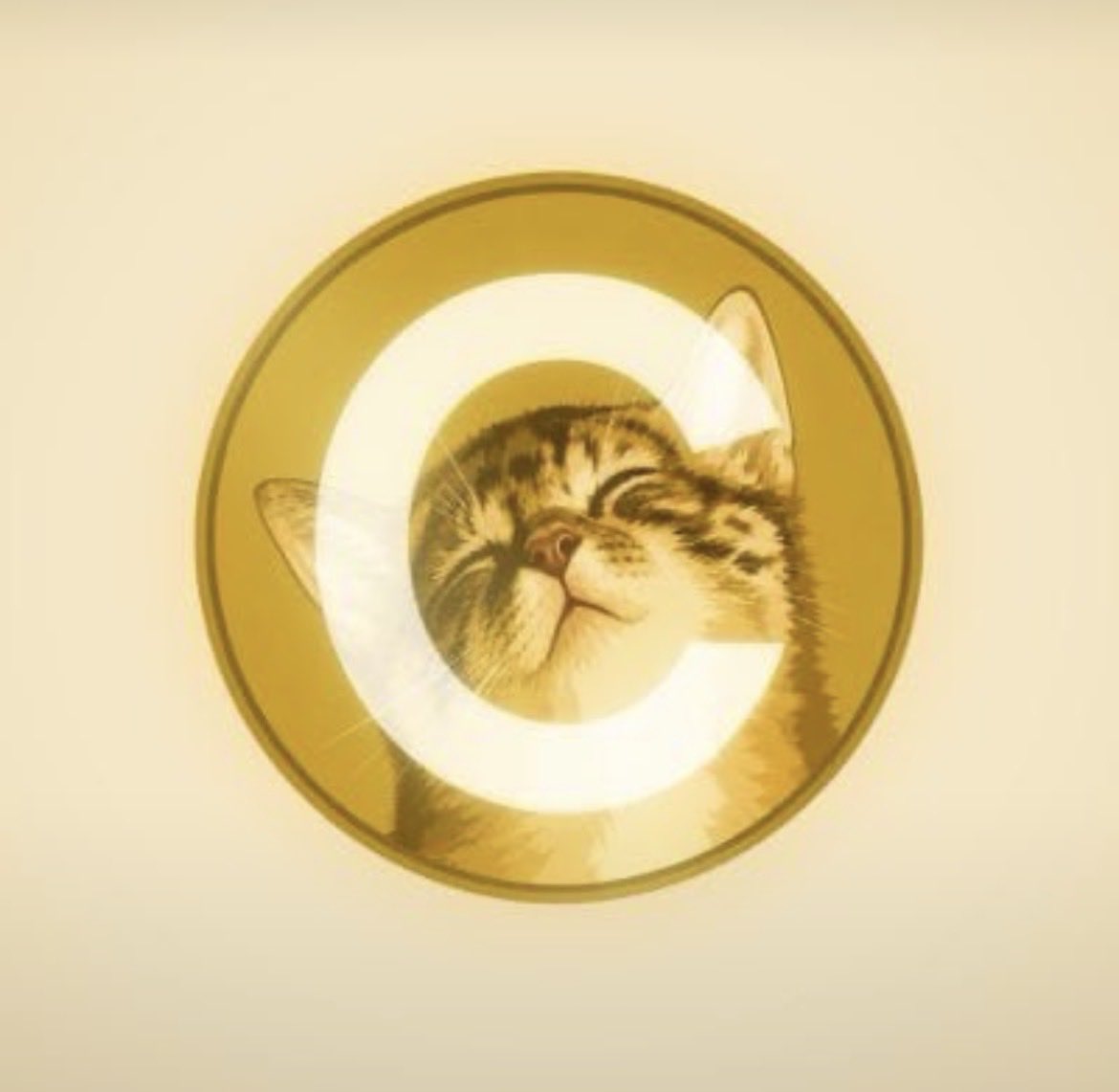 zaking911's tweet photo. @Binance_intern the one you posted, cate https://t.co/uMfuKOxbhc