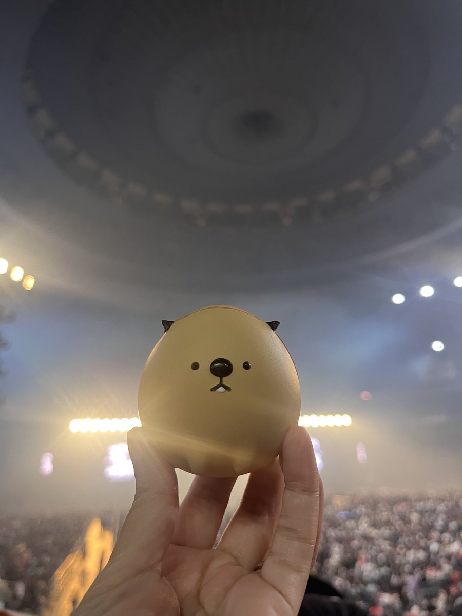 tj_c795's tweet photo. 3月ぶりーー😭1曲目は予想通りだったけどラストがまさかでした！ひろぽんのトークの落ちで3人が同時にズッコケてたね！笑1日目とセトリ違うの本当ですか！？東京ドームも期待してます🙌🙌
#SUPERBEAVER 
#都会のラクダDOMETOUR2026 
#京セラドームDAY2 https://t.co/OXRYa48jIU