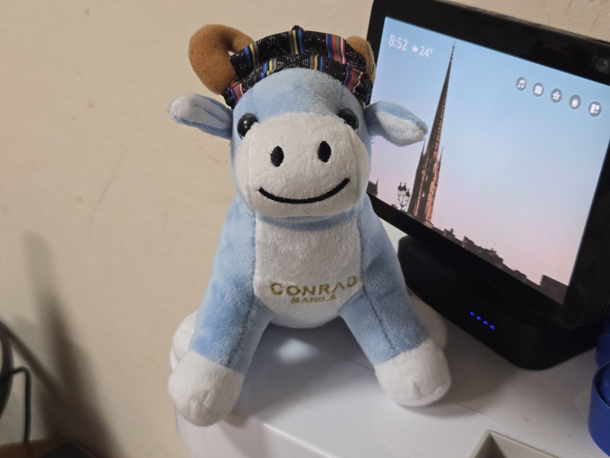 JAL_Shugyo's tweet photo. コンラッド名古屋ベア🧸ちゃんをお持ち帰りして、我が家のベアちゃんは3体に‼️
オマケのコンラッドマニラ牛🐮⁉️ https://t.co/fFn7wt0ex9