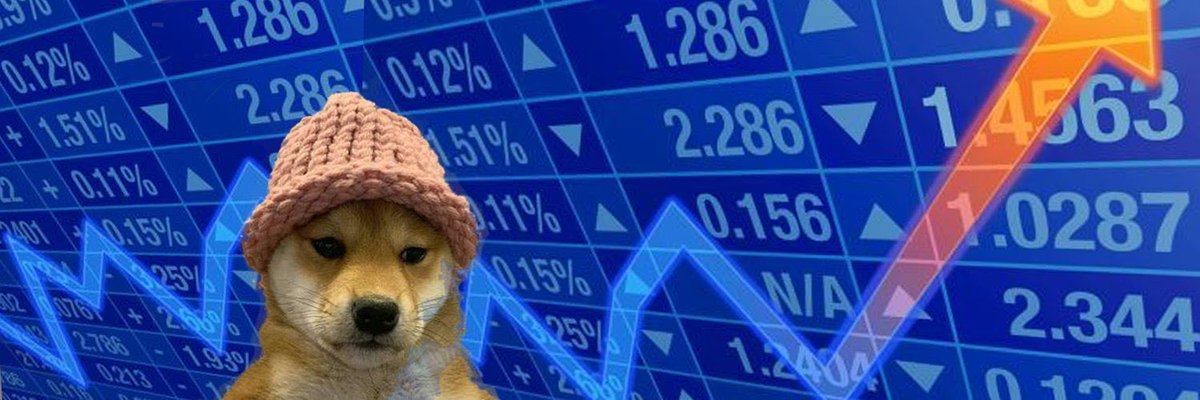DogWifHat100's tweet photo. @blknoiz06 solana:EKpQGSJtjMFqKZ9KQanSqYXRcF8fBopzLHYxdM65zcjm back to all time highs https://t.co/5C70WTv4dx