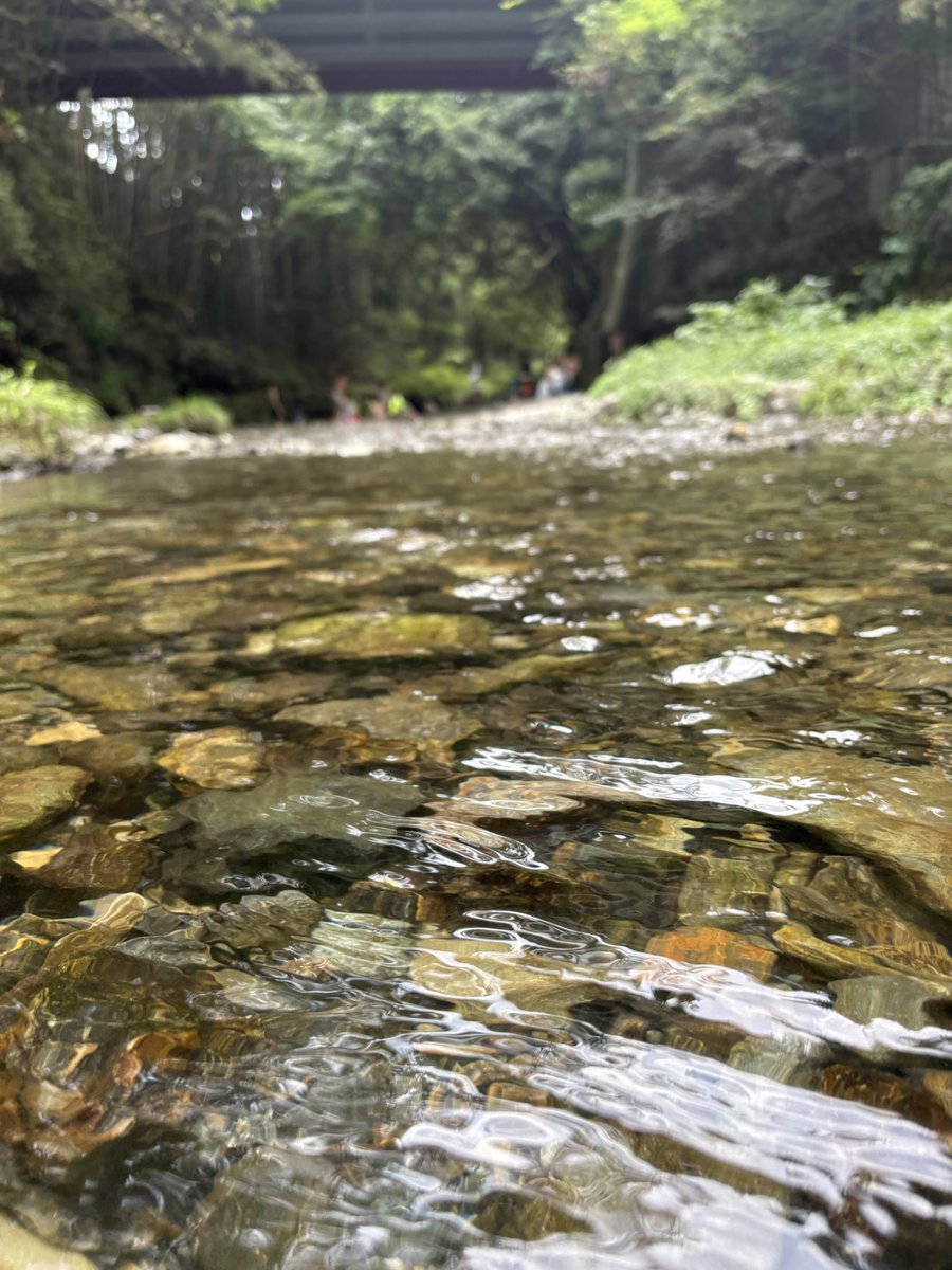my937419's tweet photo. 夏っぽいことしてきた！ https://t.co/3xd8PKPeAo